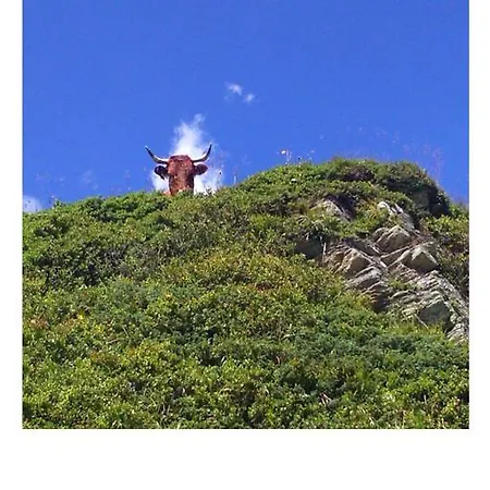 Gwehenberger * Kleinarl